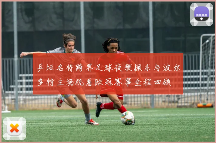 乒坛名将跨界足球夜樊振东与波尔多特主场观看欧冠赛事全程回顾