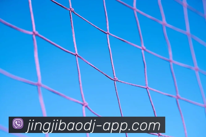 竞技宝：引领电子竞技与传统体育资讯融合的新高度品牌故事